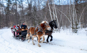 Horse drawn sleigh ride at Attitash Mountain Village